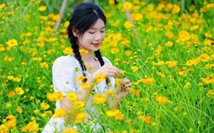 让生命充满爱 下载